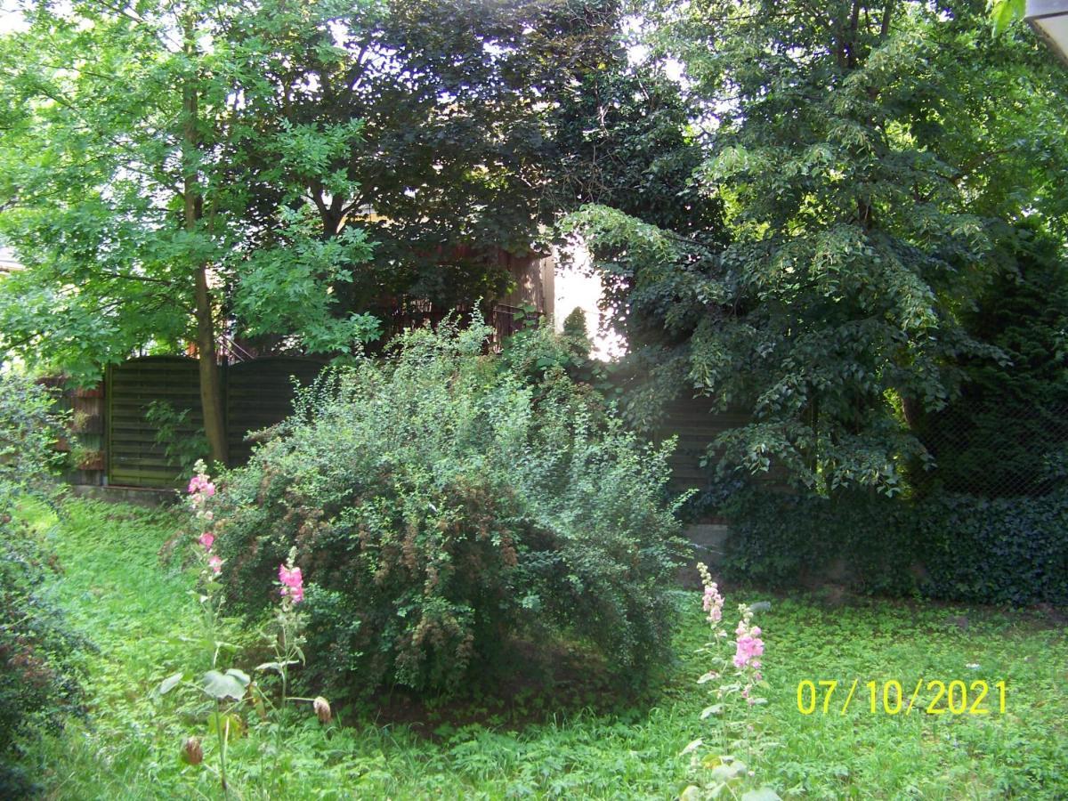 Zielony Apartament, Kielce, Targi, Centrum Kültér fotó
