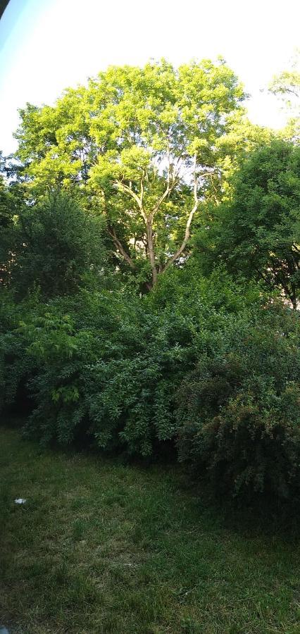 Zielony Apartament, Kielce, Targi, Centrum Kültér fotó